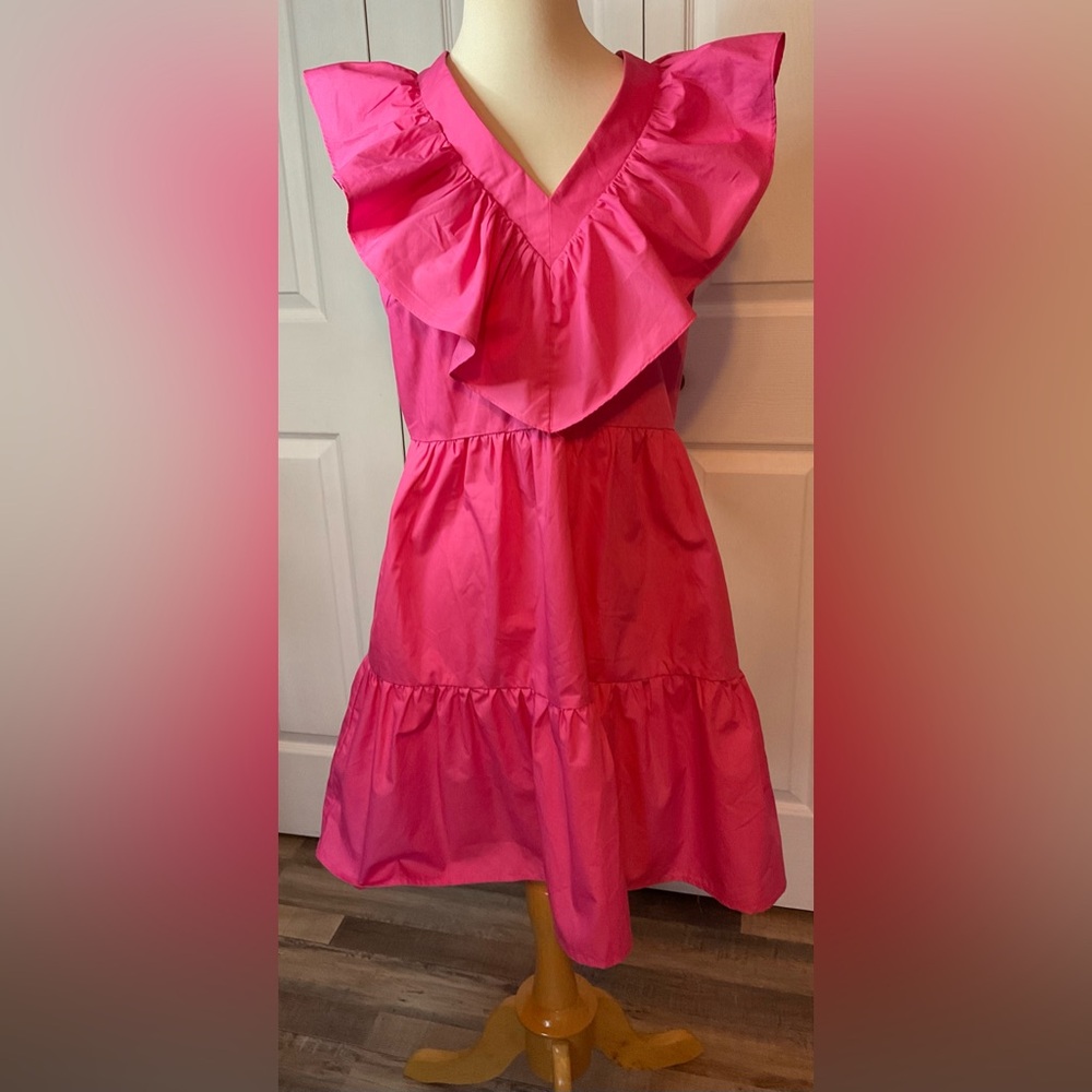 ANDTHEWHY Worries Hot Pink Ruffle Dress Barbiecore Size Large New